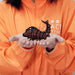 Kaiyodo Kochi Nankoku Godzilla Vs Mothra 1992 Mame Soft Vinyl Kit Reprint- Japan Figure Store - #1 Bring To You The Best Japanese Goods