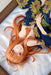 Kadokawa Ookami To Koushinryou Holo 1/7 Yukata Beauty Ver Kdcolle Figure- Japan Figure Store - #1 Bring To You The Best Japanese Goods