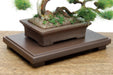 Good Smile Company Platz 1/12 The Bonsai No. 1 Plastic Model Bon-01- Japan Figure Store - #1 Bring To You The Best Japanese Goods