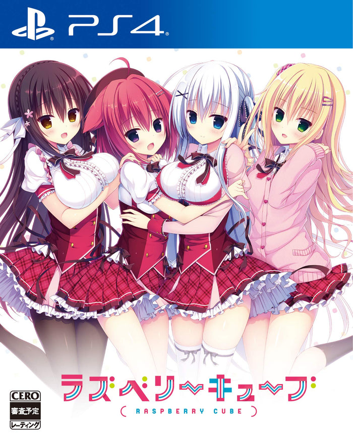 Raspberry Cube Standard Edition for PS4 - Ultimate Gaming Experience- Japan Figure Store - #1 Bring To You The Best Japanese Goods