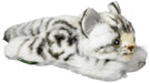Sanei Boeki Graceful American Shorthair Grey Plush Toy 9Cm- Japan Figure Store - #1 Bring To You The Best Japanese Goods