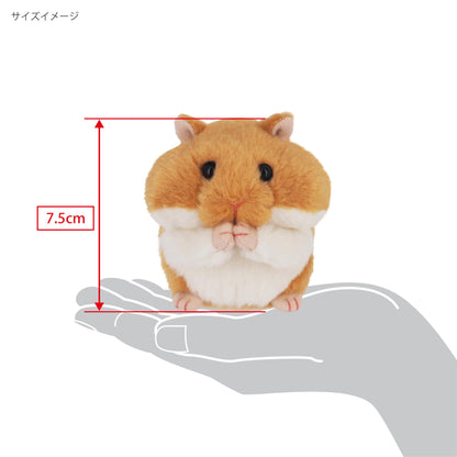 Sanei Boeki Mogomogo Hamster Golden 7.5cm Plush Toy Mgh01- Japan Figure Store - #1 Bring To You The Best Japanese Goods