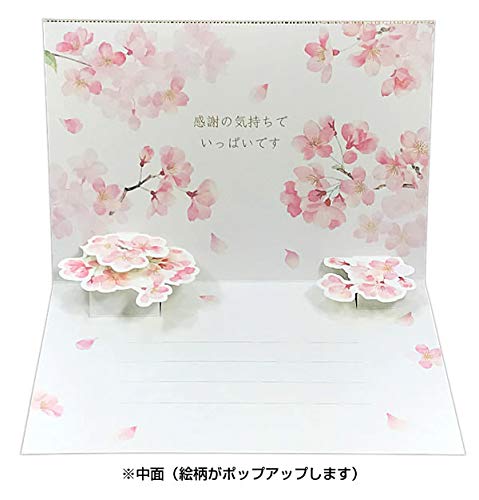Sanrio Watercolor Cherry Blossom Thank You Card - Graduation/Admission Greeting- Japan Figure Store - #1 Bring To You The Best Japanese Goods