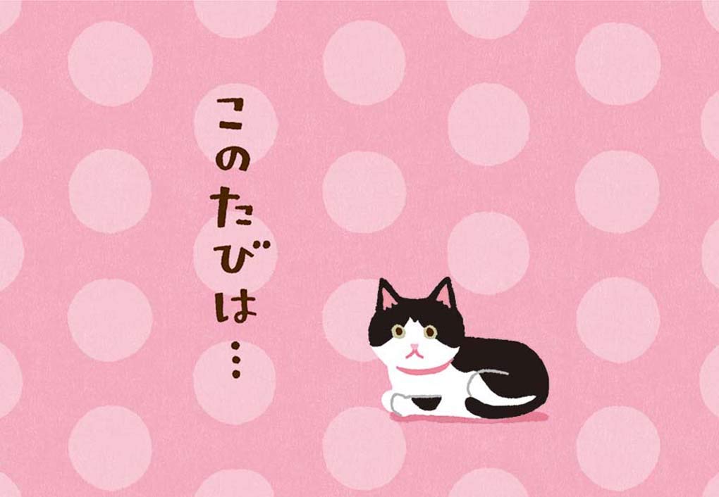 Sanrio Travel Bag Thank You Trip Design Large Size Model TY17-9 L217- Japan Figure Store - #1 Bring To You The Best Japanese Goods