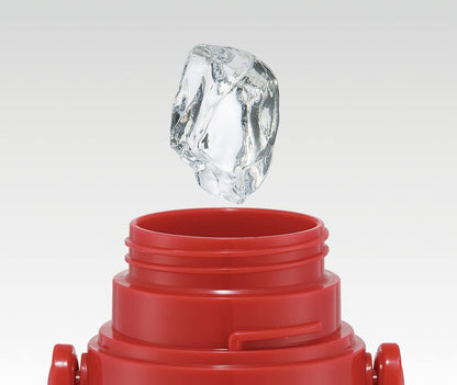 Skater Kids Pokemon 22 2-Way Stainless Steel Water Bottle 580ml with Cup For Boys Skdc6-A- Japan Figure Store - #1 Bring To You The Best Japanese Goods