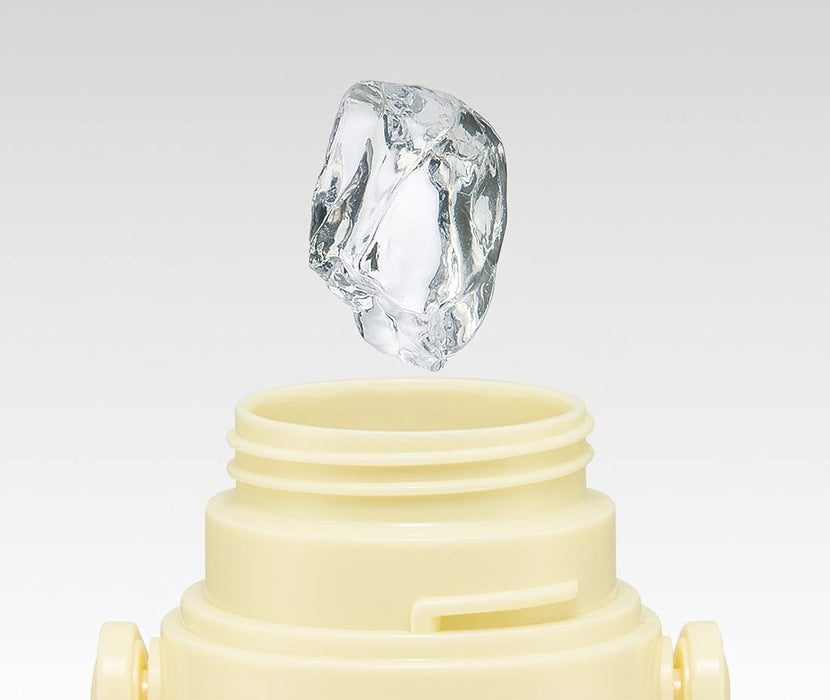 Skater Totoro Kids Water Bottle Stainless Steel 570ml with Cup Ghibli Vegetable Colors- Japan Figure Store - #1 Bring To You The Best Japanese Goods