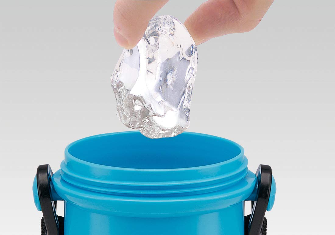 Skater Kids 480ml Water Bottle - Tomica 2020 New Design Durable Plastic- Japan Figure Store - #1 Bring To You The Best Japanese Goods