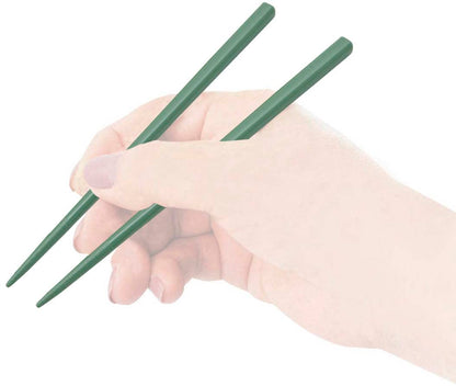 Antibacterial Skater Chopstick and Case Set 18cm Adult Size Sage Green Made in Japan- Japan Figure Store - #1 Bring To You The Best Japanese Goods