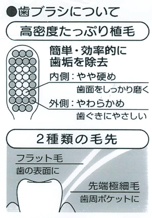 Skater Disney Toy Story 15 Dental Kid Skater - Fun Learning Toy- Japan Figure Store - #1 Bring To You The Best Japanese Goods