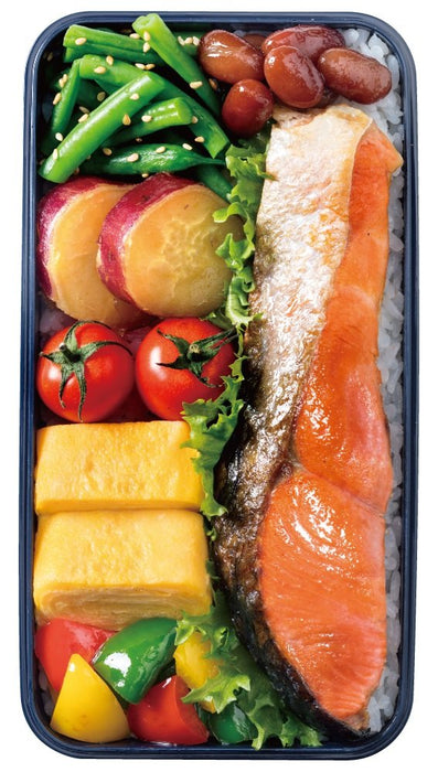 Skater Large 870ml Japanese-Style Bento Lunch Box with Dome-Shaped Lid Navy Blue- Japan Figure Store - #1 Bring To You The Best Japanese Goods