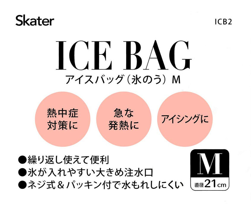 Skater Medium Size 21cm Cat Design Ice Bag - ICB2 Series- Japan Figure Store - #1 Bring To You The Best Japanese Goods