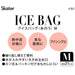 Skater Medium Ice Bag with Chip & Dale Disney Design 21cm Diameter- Japan Figure Store - #1 Bring To You The Best Japanese Goods