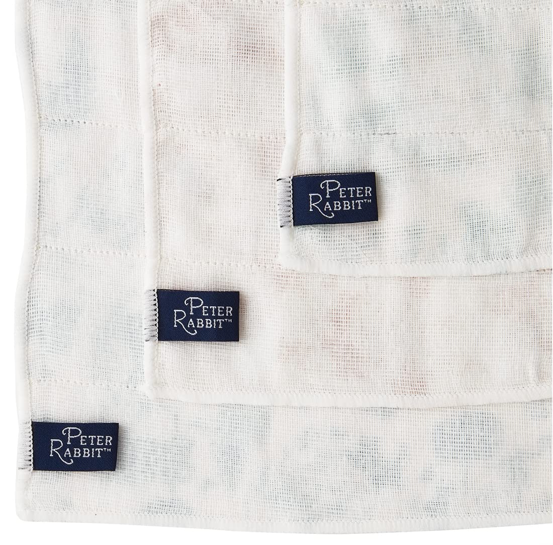 Skater Peter Rabbit Kaya Fabric Dishcloth 30x30cm 3-Pack- Japan Figure Store - #1 Bring To You The Best Japanese Goods