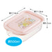 Skater Sumikko Gurashi Cat Brothers 500ml Antibacterial Container Set Made in Japan- Japan Figure Store - #1 Bring To You The Best Japanese Goods