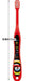 Skater Baby Soft Toothbrush 0-3 Years Striped Pattern 15cm Tb4S- Japan Figure Store - #1 Bring To You The Best Japanese Goods