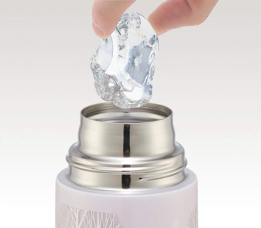 Skater Disney Frozen 21 Stainless Steel Sports Water Bottle 580ml Direct Drinking - Sdc6N- Japan Figure Store - #1 Bring To You The Best Japanese Goods