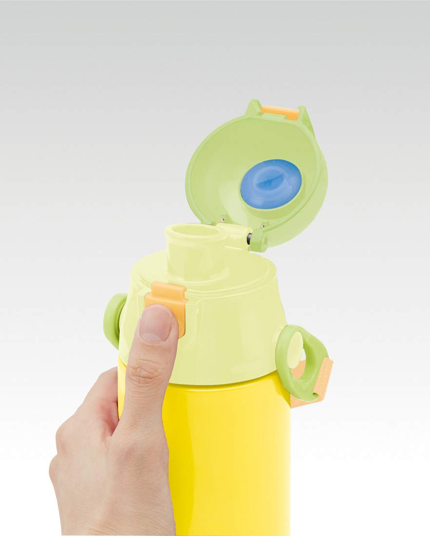 Skater Totoro Daisy Ghibli 580ml Sports Direct Drinking Water Bottle- Japan Figure Store - #1 Bring To You The Best Japanese Goods