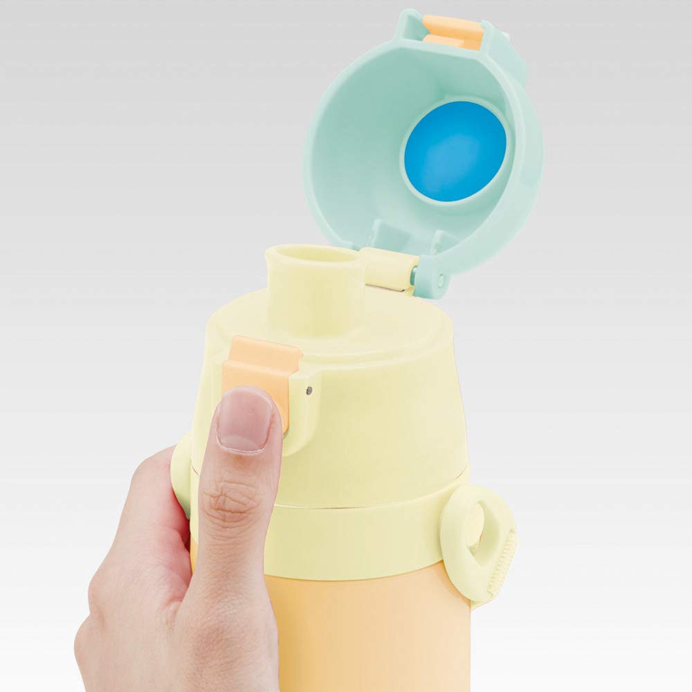 Skater Totoro Vegetable Color Ghibli 470ml Stainless Steel Children's Water Bottle- Japan Figure Store - #1 Bring To You The Best Japanese Goods