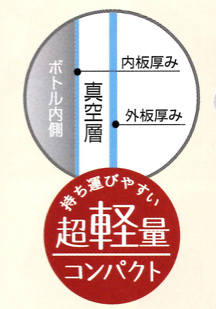 Skater Disney Frozen 2 Stainless Steel Kids Sports Water Bottle 470Ml- Japan Figure Store - #1 Bring To You The Best Japanese Goods