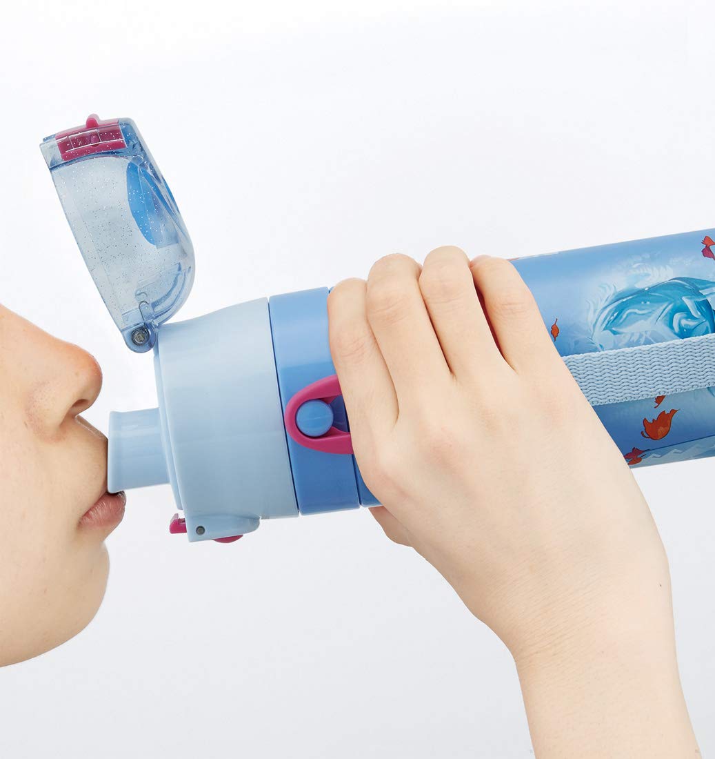 Skater Disney Frozen 2 Stainless Steel Kids Sports Water Bottle 470Ml- Japan Figure Store - #1 Bring To You The Best Japanese Goods
