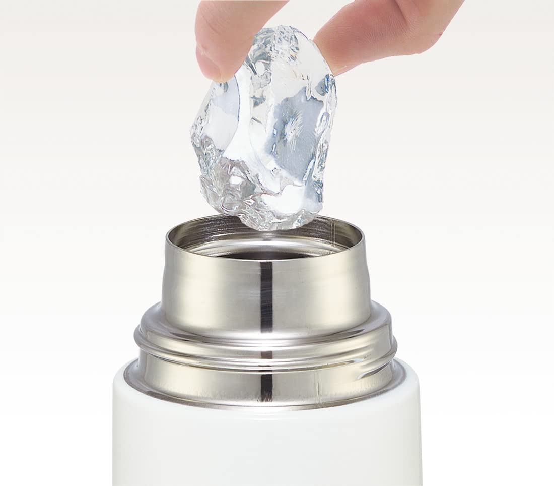 Skater Stainless Steel Kids Water Bottle 580ml Sumikko Gurashi Direct Drinking Girls- Japan Figure Store - #1 Bring To You The Best Japanese Goods