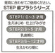 Skater Sumikko Gurashi Soft Clear Toothbrush Set 15.5cm for 6-12 Year Olds 3pc- Japan Figure Store - #1 Bring To You The Best Japanese Goods
