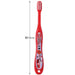 Skater Soft Toothbrush Tomica 23 for Preschoolers Ages 3-5 14cm Pack of 3- Japan Figure Store - #1 Bring To You The Best Japanese Goods