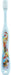 Skater Soft Toothbrush for Preschoolers Ages 3-5 Paw Patrol Style TB5S-A- Japan Figure Store - #1 Bring To You The Best Japanese Goods
