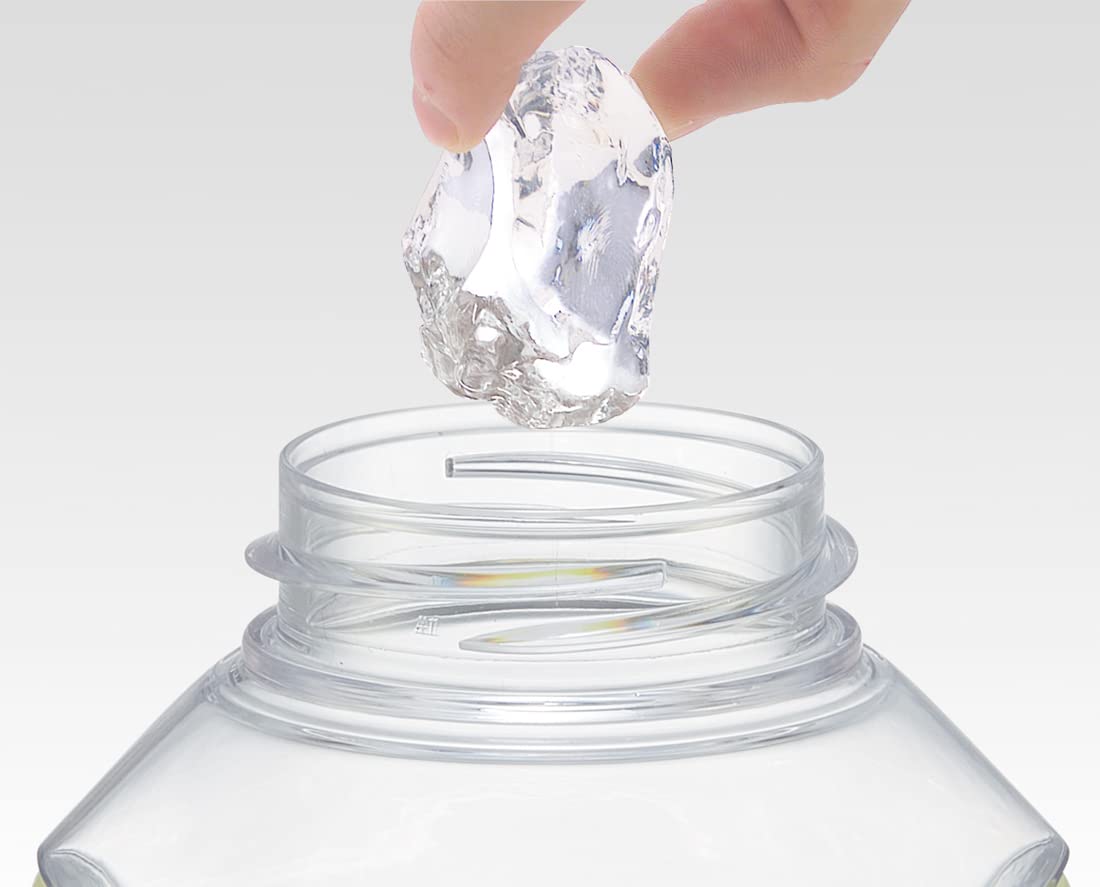 Skater 530ml Kids Water Bottle with Dinosaur Picture & Push Straw for Girls- Japan Figure Store - #1 Bring To You The Best Japanese Goods