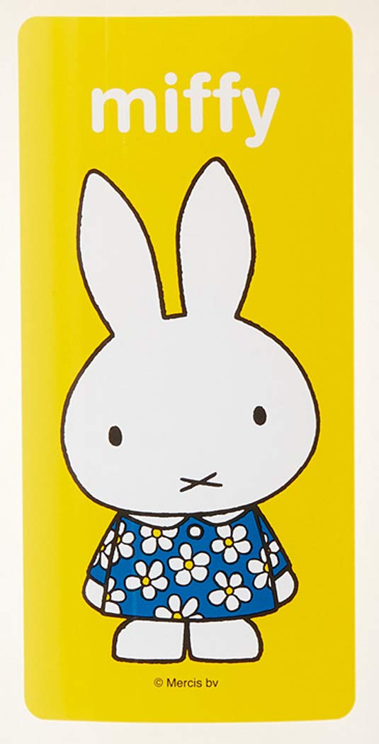Skater 1.9L Miffy Ci19-A High Capacity Water Pot- Japan Figure Store - #1 Bring To You The Best Japanese Goods