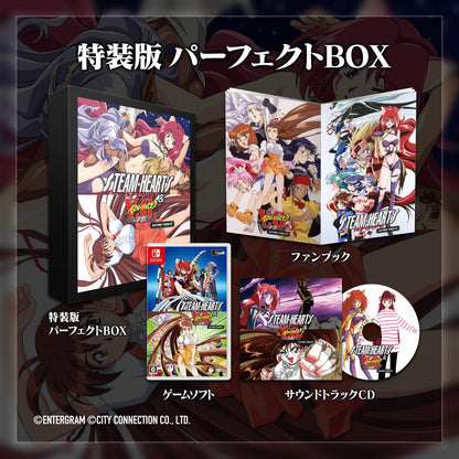 City Connection Saturn Tribute Special Edition with Soundtrack and Booklet- Japan Figure Store - #1 Bring To You The Best Japanese Goods