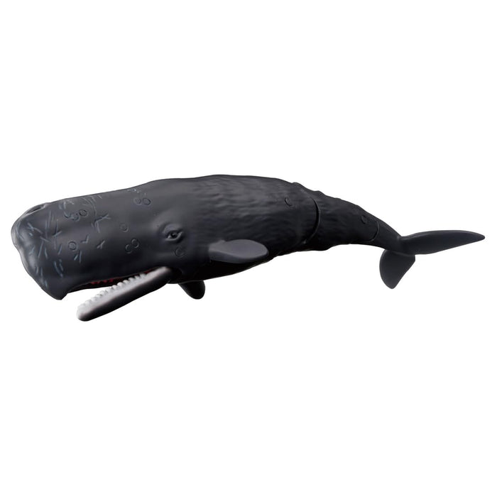 Takara Tomy Ania AL-34 Sperm Whale Floating Toy for Ages 3+
