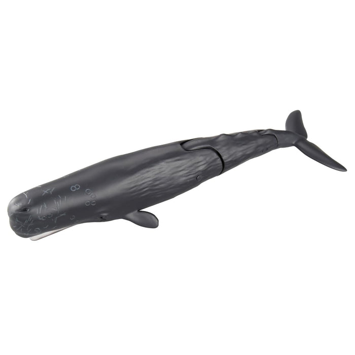 Takara Tomy Ania AL-34 Sperm Whale Floating Toy for Ages 3+