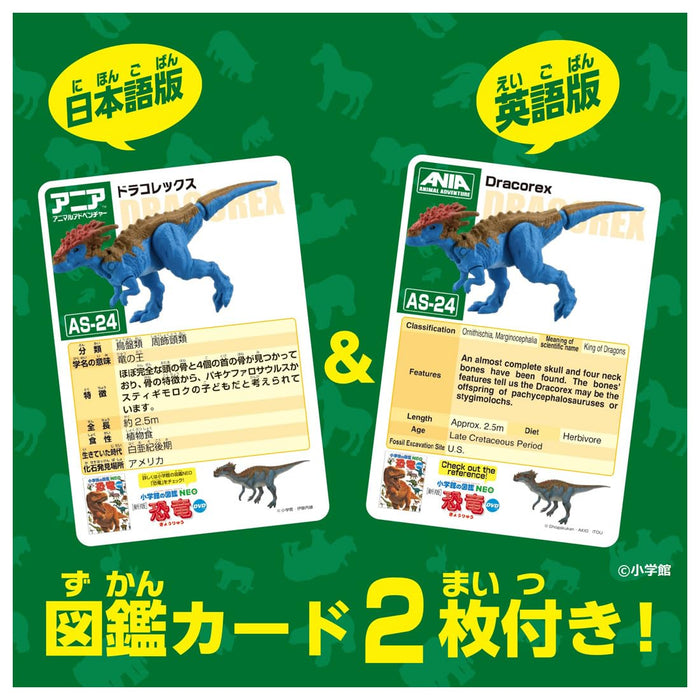 Takara Tomy Ania AS-24 Dracorex Dinosaur Toy for Kids Ages 3+