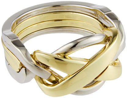 Hanayama Huzzle Cast Ring [Difficulty Level 4]- Japan Figure Store - #1 Bring To You The Best Japanese Goods