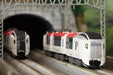 Rokuhan Z Gauge E259 Series NEX Shiosai Shorty Train Model