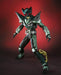 Tamashii Nations SIC Kamen Rider Punch and Kick Hopper Figure
