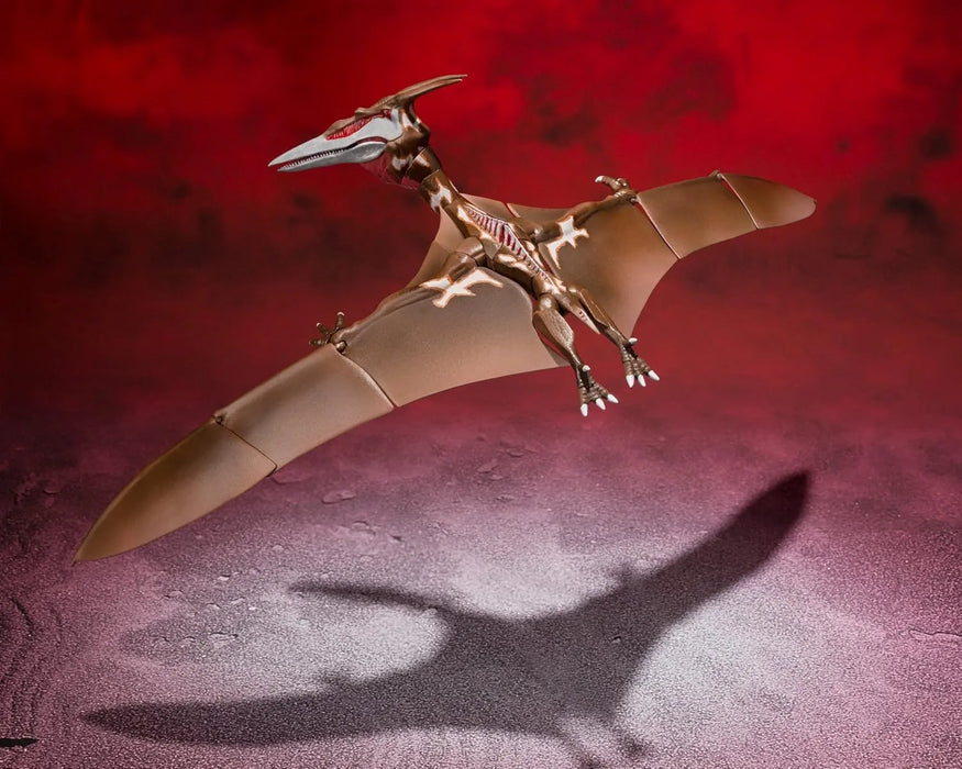 Tamashii Nations SP 2021 Collectible Figure Premium Quality