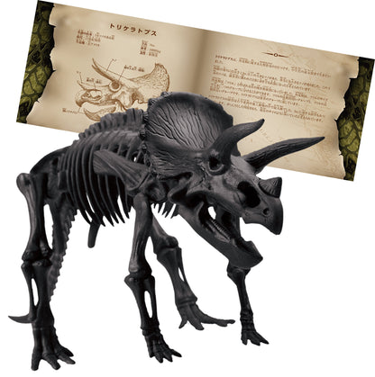 BEVERLY 3D Puzzle Dn-007 Dinosaur Triceratops 10 Pieces- Japan Figure Store - #1 Bring To You The Best Japanese Goods