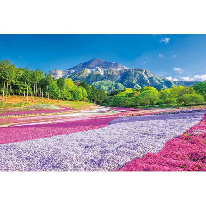 1000 Piece Jigsaw Puzzle Spring Carpet Hitsujiyama Park (50 X 75 Cm)- Japan Figure Store - #1 Bring To You The Best Japanese Goods