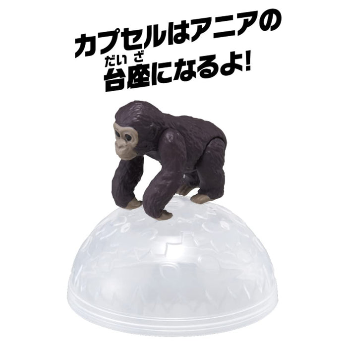 TAKARA TOMY Ania Ac-03 Baby Gorilla- Japan Figure Store - #1 Bring To You The Best Japanese Goods
