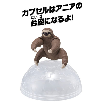 TAKARA TOMY Ania Ac-06 Baby Sloth- Japan Figure Store - #1 Bring To You The Best Japanese Goods
