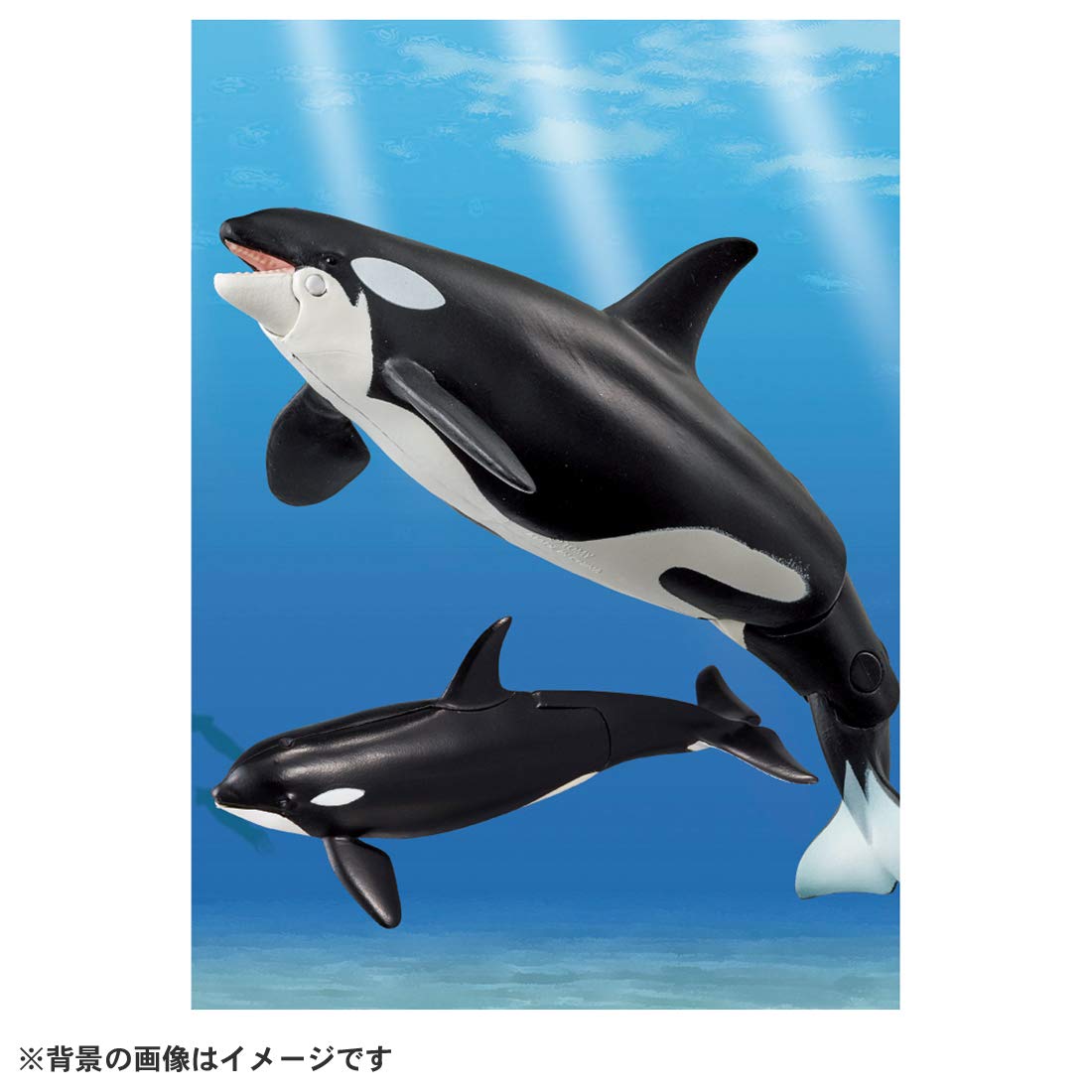 TAKARA TOMY Al-08 Animal Adventure Killer Whale Parent And Child Floating Version Figure- Japan Figure Store - #1 Bring To You The Best Japanese Goods