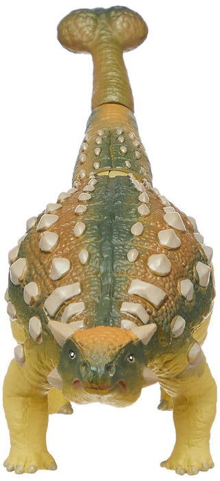 Takara Tomy Ania Al-14 Ankylosaurus Dinosaur Toy for Kids Educational Play- Japan Figure Store - #1 Bring To You The Best Japanese Goods