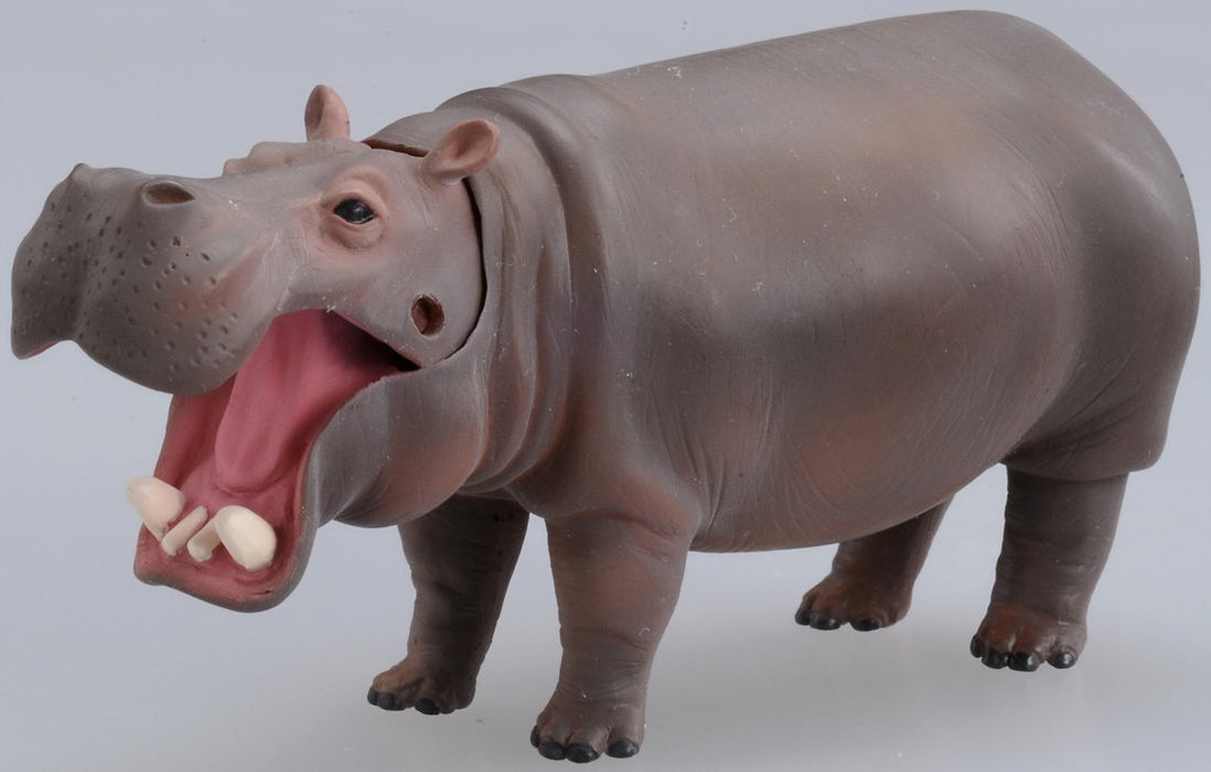 TAKARA TOMY As-06 Animal Adventure Hippopotamus Figure- Japan Figure Store - #1 Bring To You The Best Japanese Goods