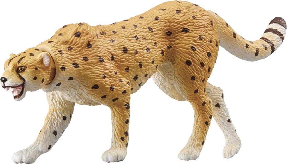 TAKARA TOMY As-13 Animal Adventure Cheetah Wild Version Figure- Japan Figure Store - #1 Bring To You The Best Japanese Goods