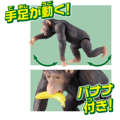 TAKARA TOMY As-14 Animal Adventure Chimpanzee Figure- Japan Figure Store - #1 Bring To You The Best Japanese Goods