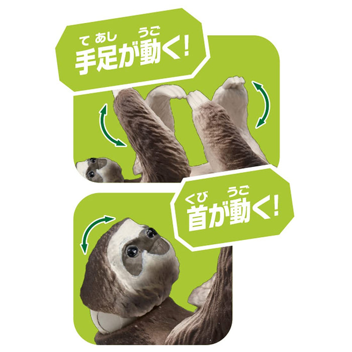 TAKARA TOMY Ania As-26 Sloth Brown-Throated Sloth- Japan Figure Store - #1 Bring To You The Best Japanese Goods