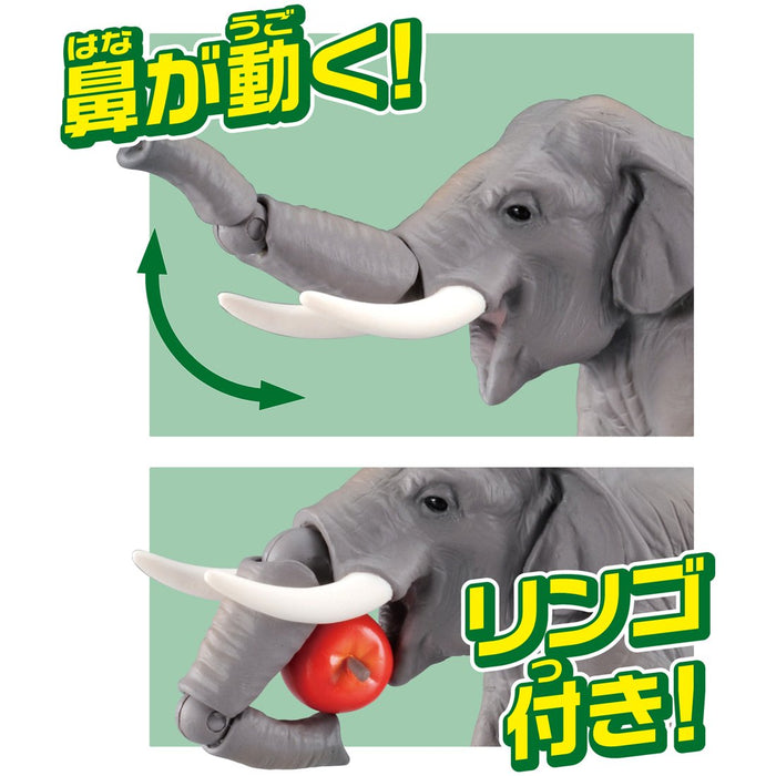TAKARA TOMY As-33 Animal Adventure Asian Elephant Figure- Japan Figure Store - #1 Bring To You The Best Japanese Goods