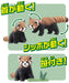 TAKARA TOMY As-35 Animal Adventure Red Panda Figure- Japan Figure Store - #1 Bring To You The Best Japanese Goods